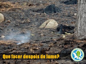 Que_facer_tras_os_lumes_SGHN_web