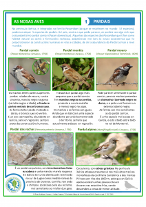 As_nosas_aves_Pardais