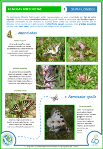 Fichas-Identificacion-Insecta-OS-PAPILIONIDOS-1