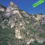 Paspallas-62_portada_RD